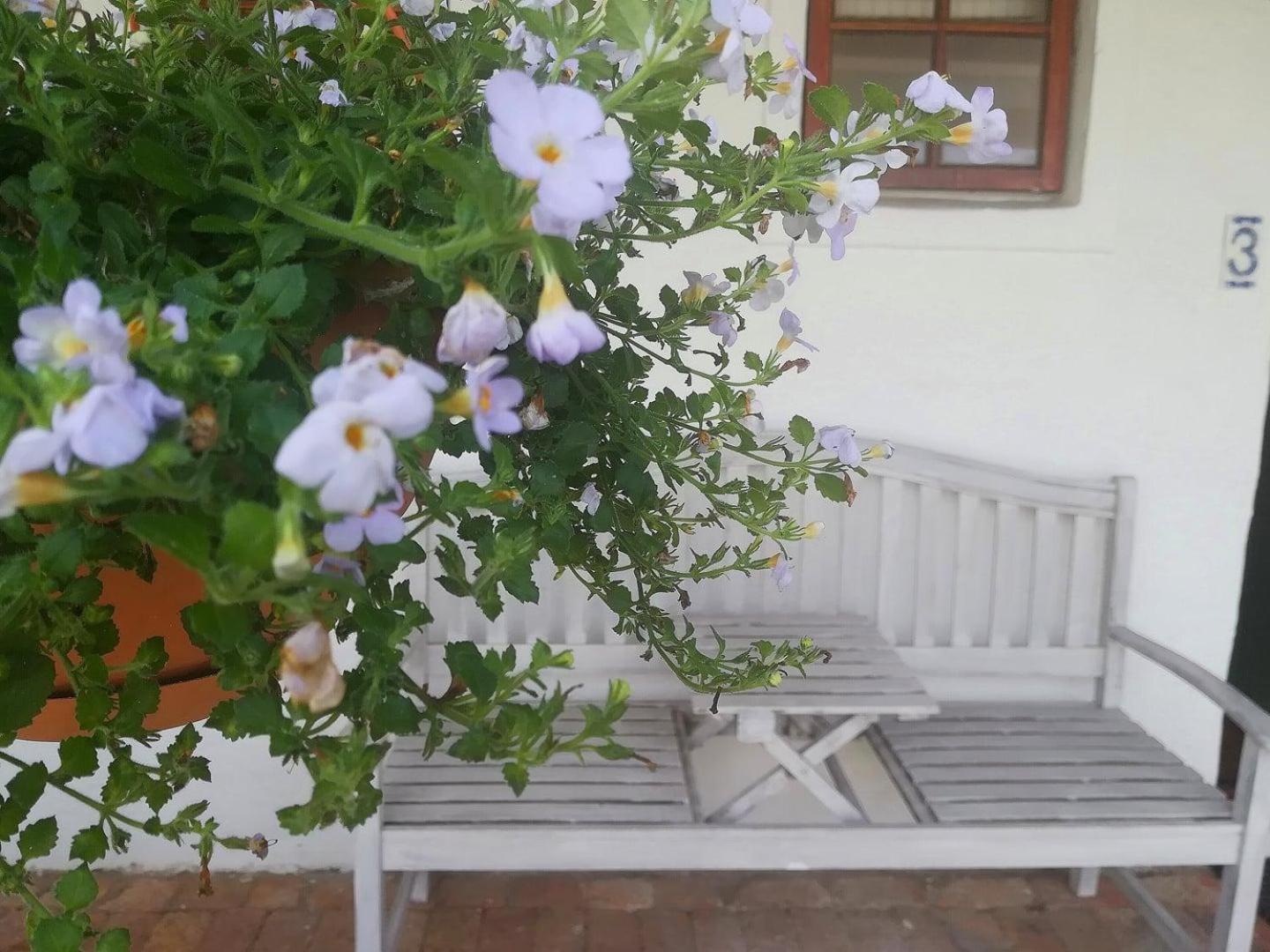 Kaijaiki Country Inn And Restaurant Yzerfontein Pokój zdjęcie